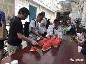 吃瓜群众图片真人,他们眼中的娱乐圈