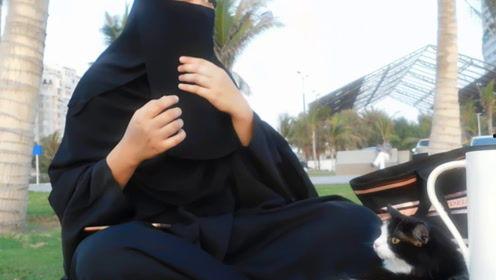 娱乐吃瓜君每日吃瓜,跟随吃瓜君一起探索娱乐圈的幕后故事