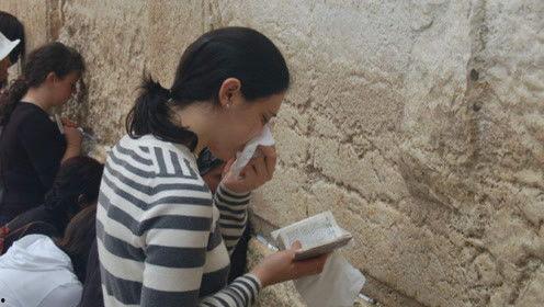 娱乐吃瓜君每日吃瓜,跟随吃瓜君一起探索娱乐圈的幕后故事