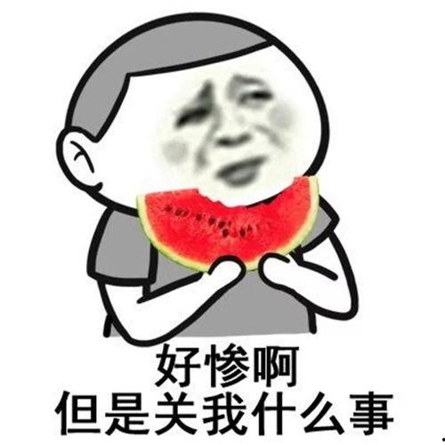 娱乐有态度吃瓜有深度,揭秘娱乐圈背后的故事